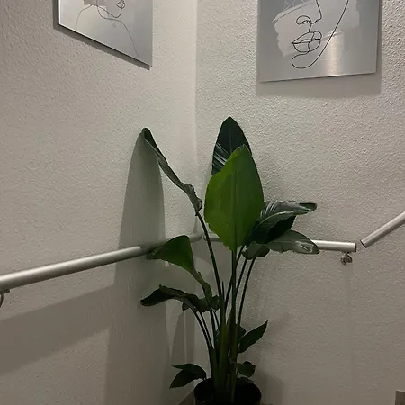 Royal Haus Düsseldorf