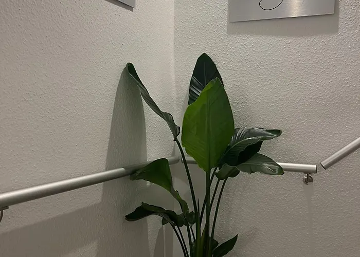 Royal Haus Dusseldorf